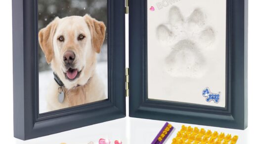 dog paw print kit